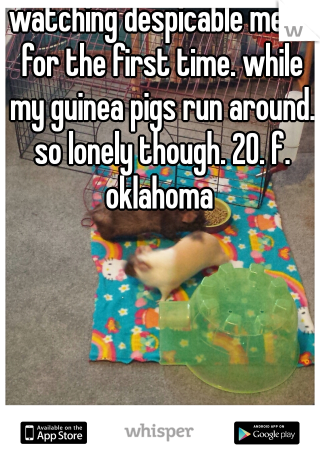 watching despicable me 2, for the first time. while my guinea pigs run around. so lonely though. 20. f. oklahoma 