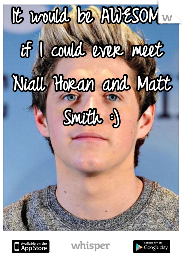 It would be AWESOME if I could ever meet Niall Horan and Matt Smith :)