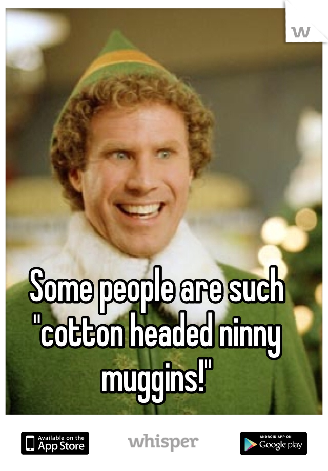 Some people are such "cotton headed ninny muggins!"