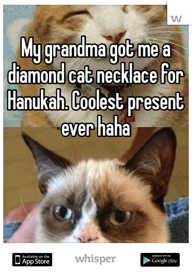 My grandma got me a diamond cat necklace for Hanukah. Coolest present ever haha
