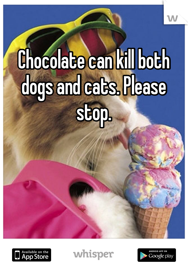 Chocolate can kill both dogs and cats. Please stop. 
