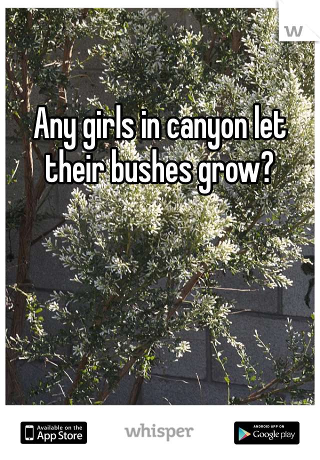 Any girls in canyon let their bushes grow?