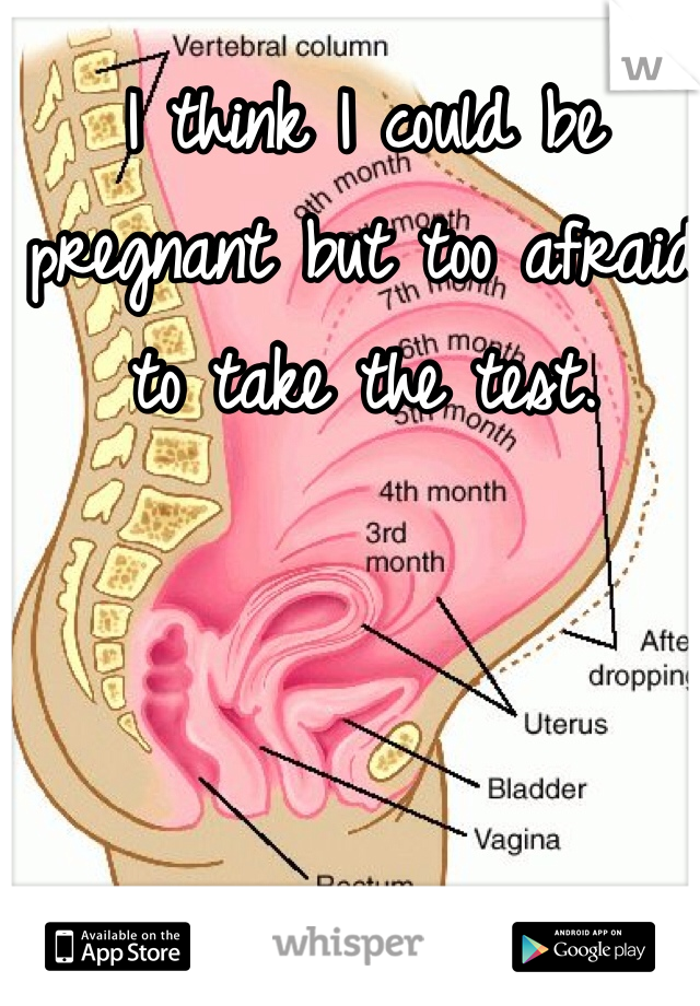 I think I could be pregnant but too afraid to take the test. 