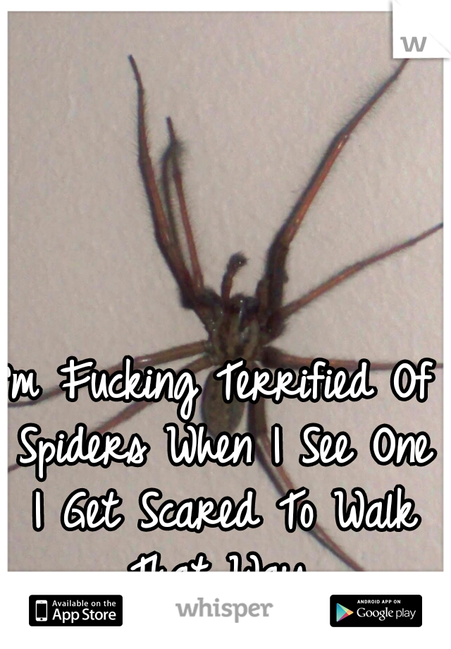 I'm Fucking Terrified Of Spiders When I See One I Get Scared To Walk That Way.