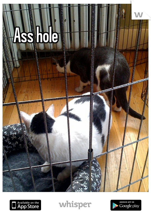 Ass hole
