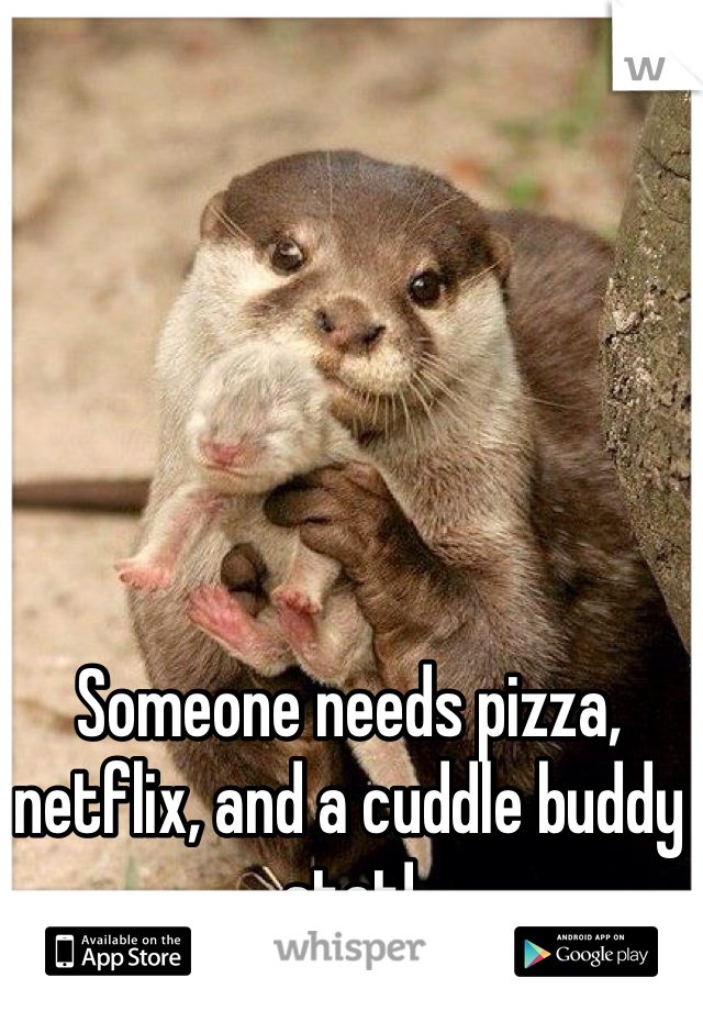 Someone needs pizza, netflix, and a cuddle buddy stat!