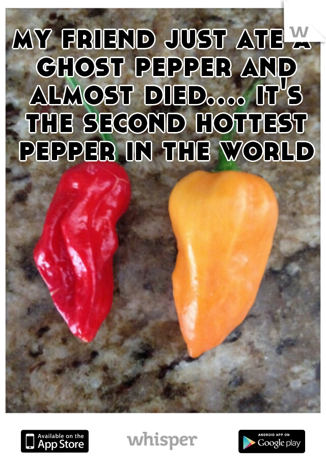 my friend just ate a ghost pepper and almost died.... it's the second hottest pepper in the world