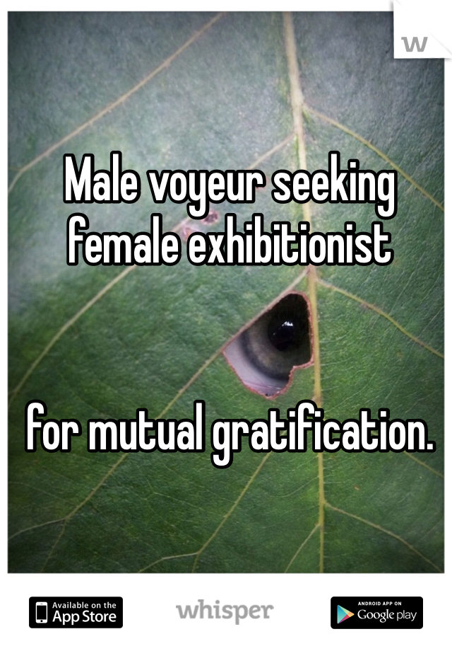 Male voyeur seeking
female exhibitionist


for mutual gratification.