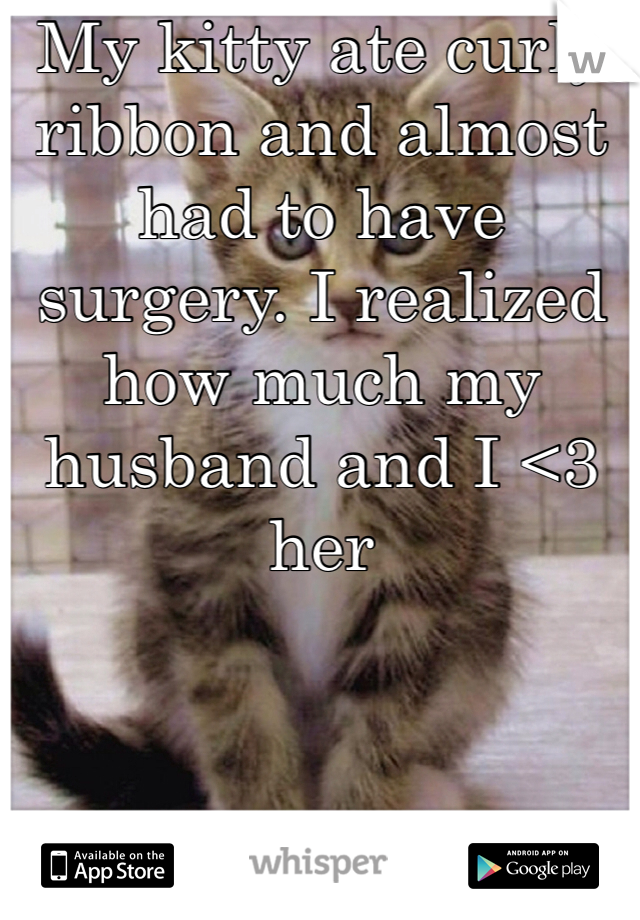 My kitty ate curly ribbon and almost had to have surgery. I realized how much my husband and I <3 her