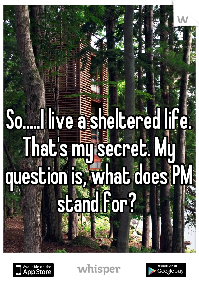 So.....I live a sheltered life. That's my secret. My question is, what does PM stand for? 