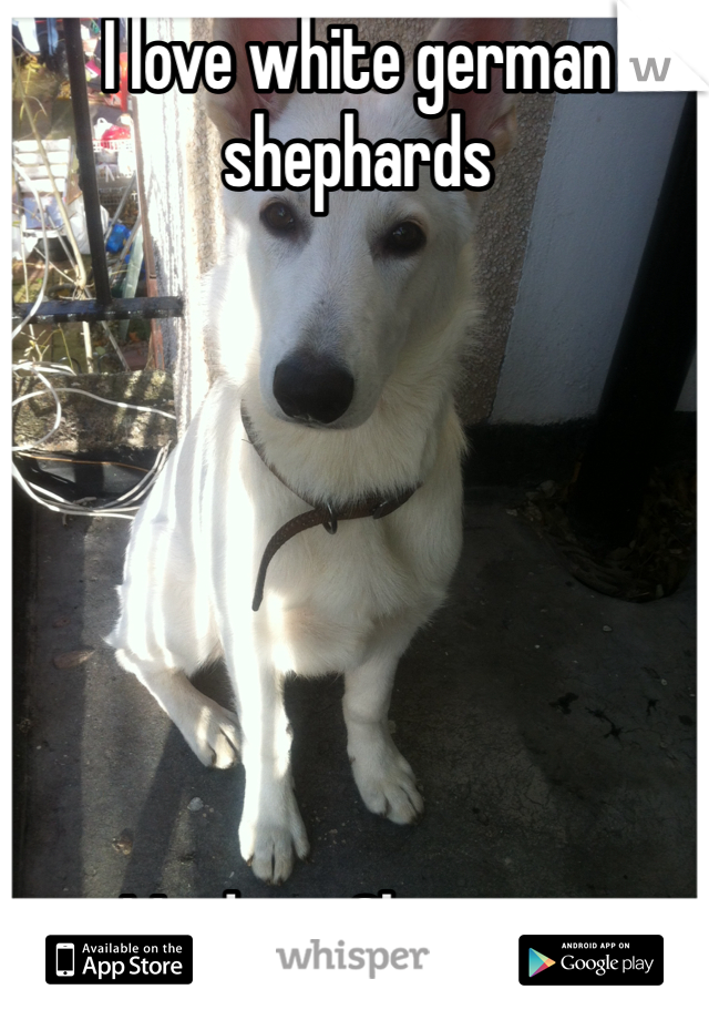 I love white german shephards 







My dog... Shnow xx