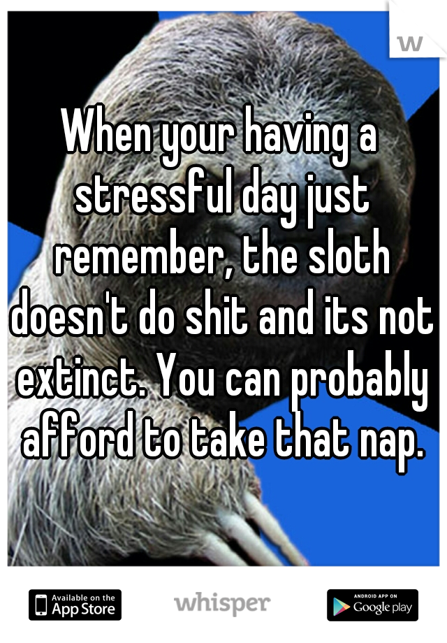 When your having a stressful day just remember, the sloth doesn't do shit and its not extinct. You can probably afford to take that nap.