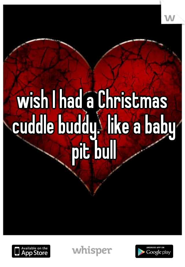 wish I had a Christmas cuddle buddy.  like a baby pit bull