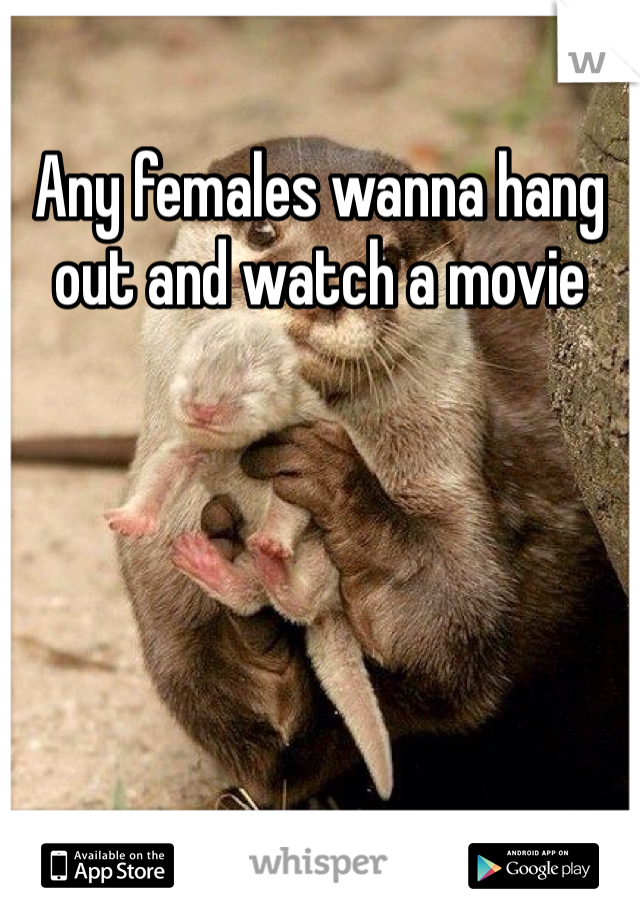 Any females wanna hang out and watch a movie 