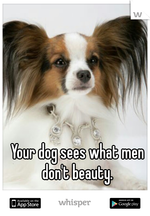 Your dog sees what men don't beauty. 