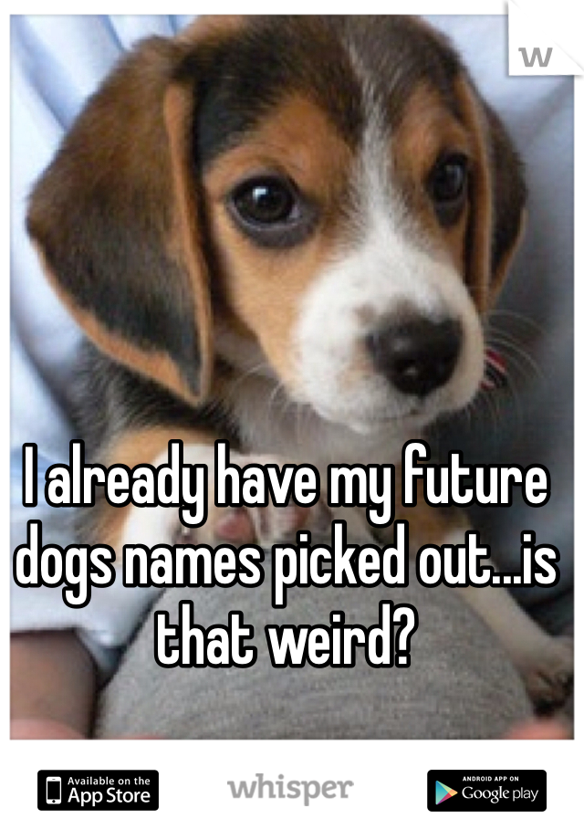 I already have my future dogs names picked out...is that weird?