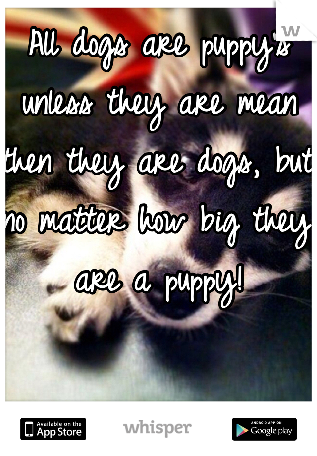 All dogs are puppy's unless they are mean then they are dogs, but no matter how big they are a puppy! 