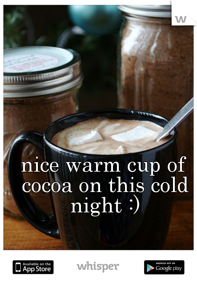 nice warm cup of cocoa on this cold night :)