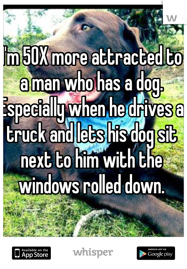 I'm 50X more attracted to a man who has a dog. Especially when he drives a truck and lets his dog sit next to him with the windows rolled down. 