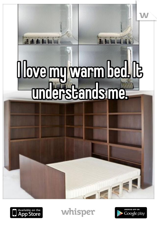 I love my warm bed. It understands me.