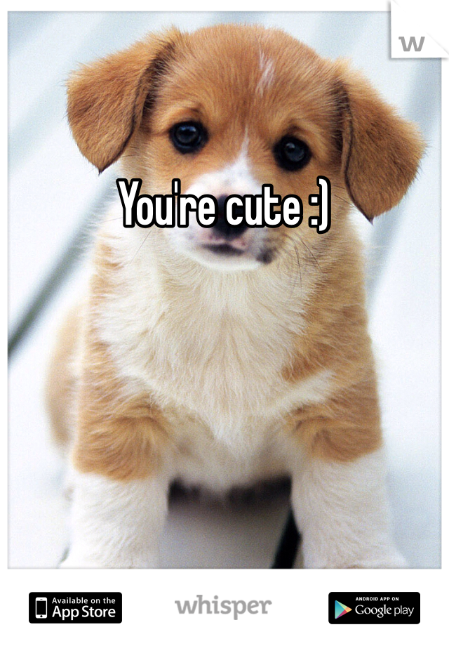 You're cute :) 