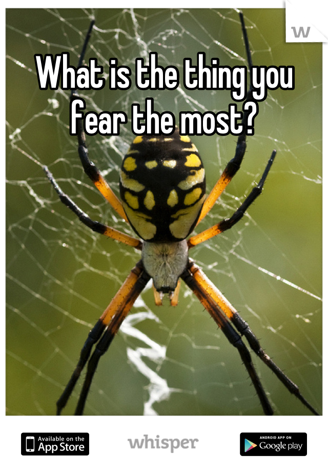 What is the thing you fear the most? 

