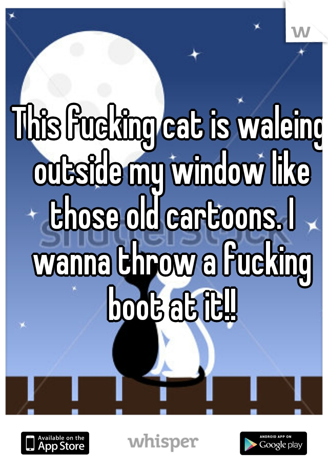 This fucking cat is waleing outside my window like those old cartoons. I wanna throw a fucking boot at it!!