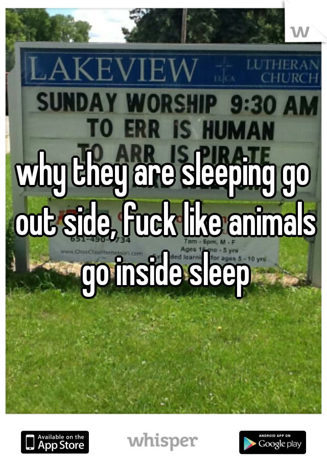 why they are sleeping go out side, fuck like animals go inside sleep