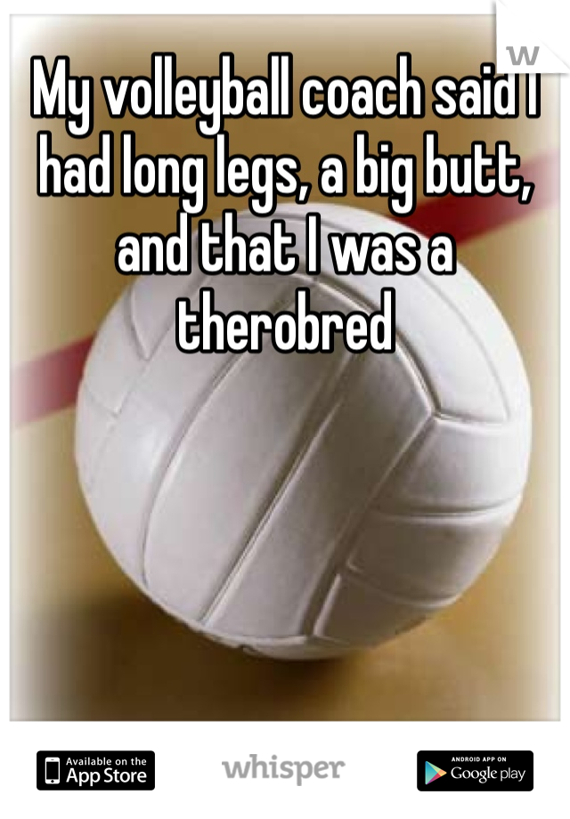 My volleyball coach said I had long legs, a big butt, and that I was a therobred