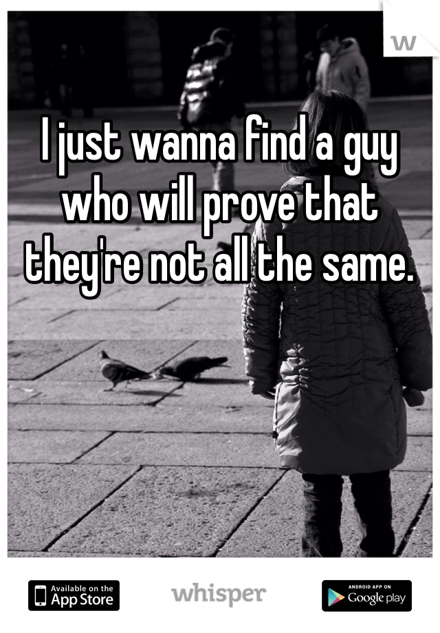 I just wanna find a guy who will prove that they're not all the same. 