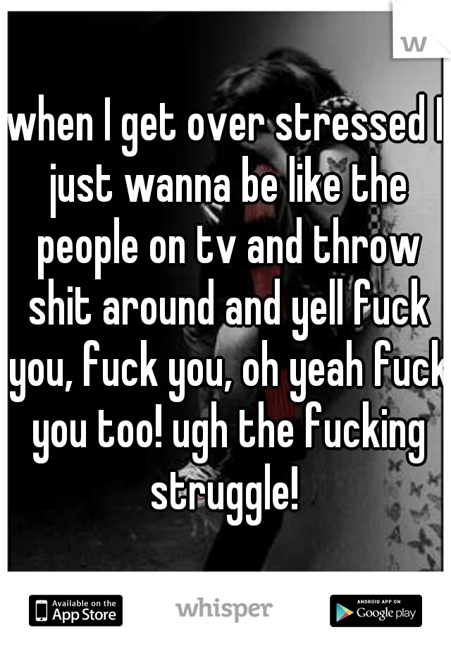 when I get over stressed I just wanna be like the people on tv and throw shit around and yell fuck you, fuck you, oh yeah fuck you too! ugh the fucking struggle! 