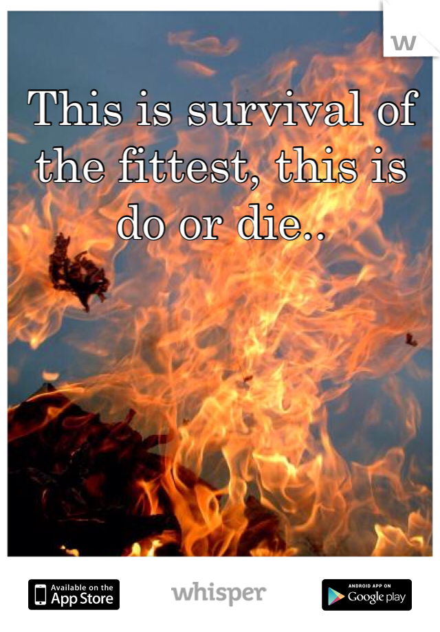 This is survival of the fittest, this is do or die..