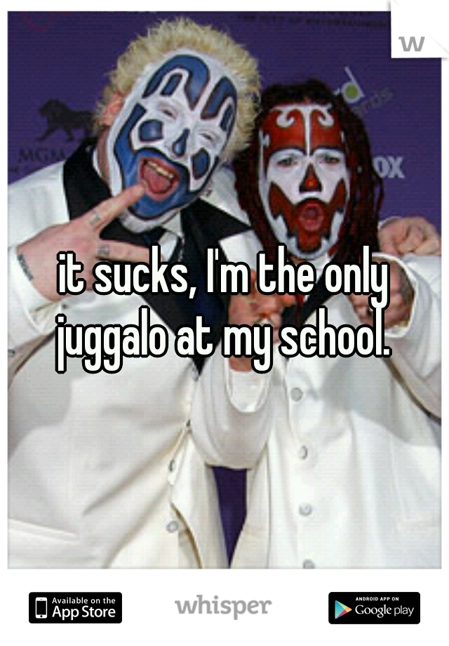 it sucks, I'm the only juggalo at my school. 