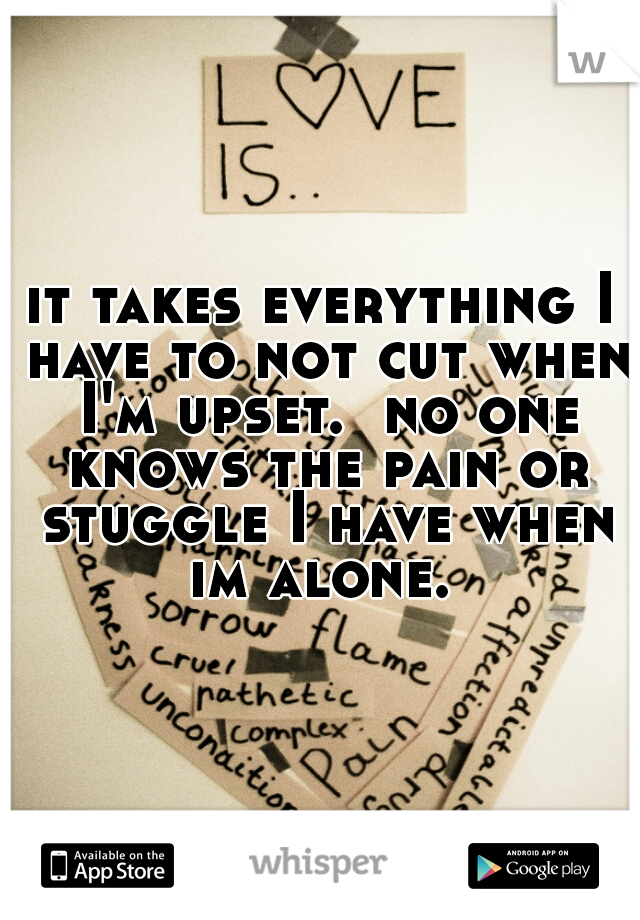it takes everything I have to not cut when I'm upset.  no one knows the pain or stuggle I have when im alone. 