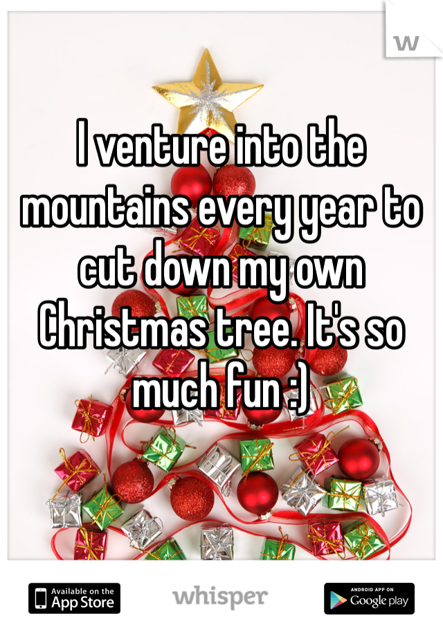 I venture into the mountains every year to cut down my own Christmas tree. It's so much fun :)