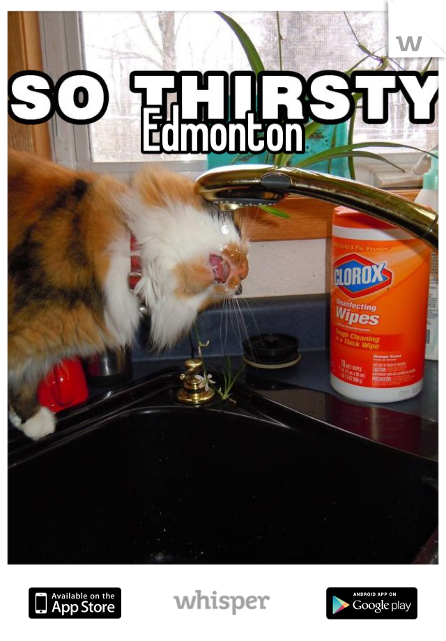 Edmonton 

