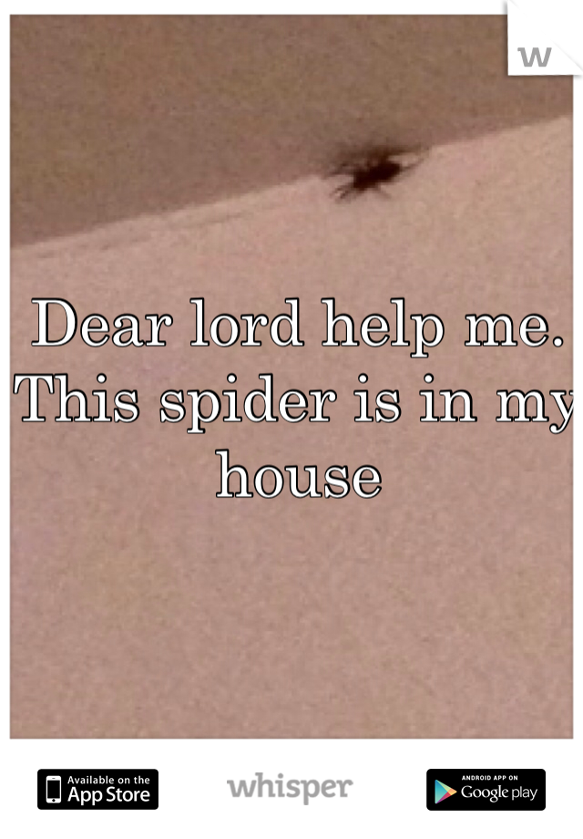 Dear lord help me. 
This spider is in my house
