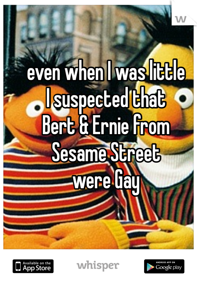 even when I was little 
I suspected that 
Bert & Ernie from 
Sesame Street 
were Gay
