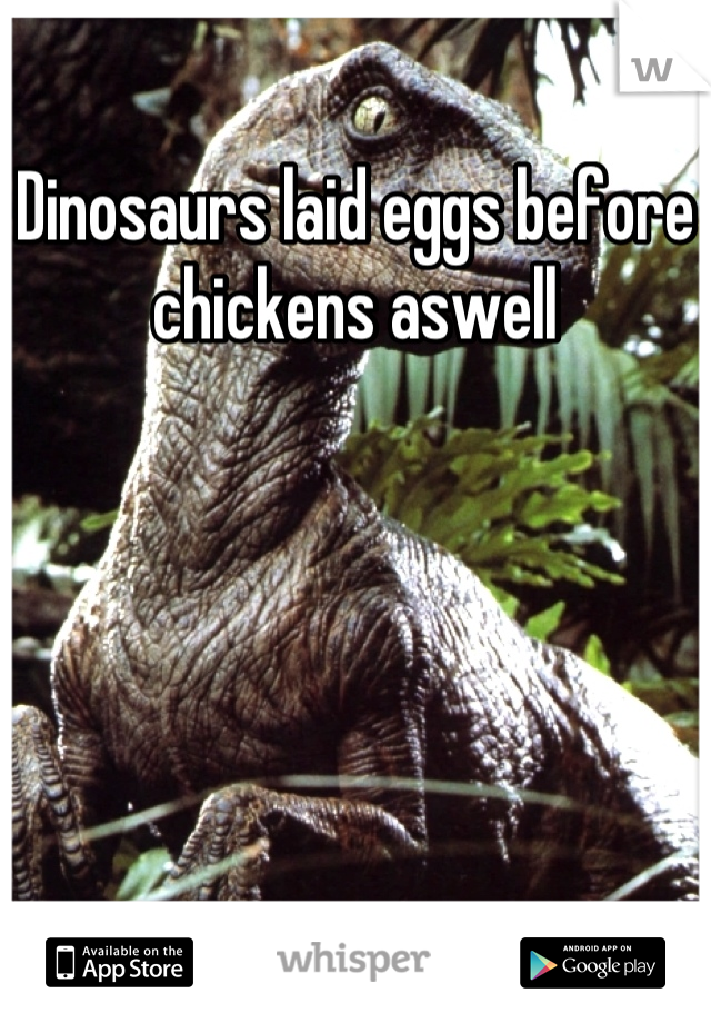 Dinosaurs laid eggs before chickens aswell