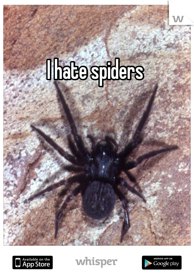I hate spiders 
