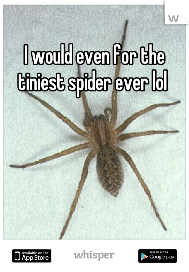 I would even for the tiniest spider ever lol 