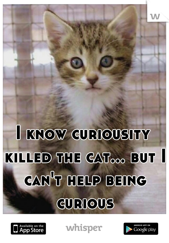 I know curiousity killed the cat... but I can't help being curious