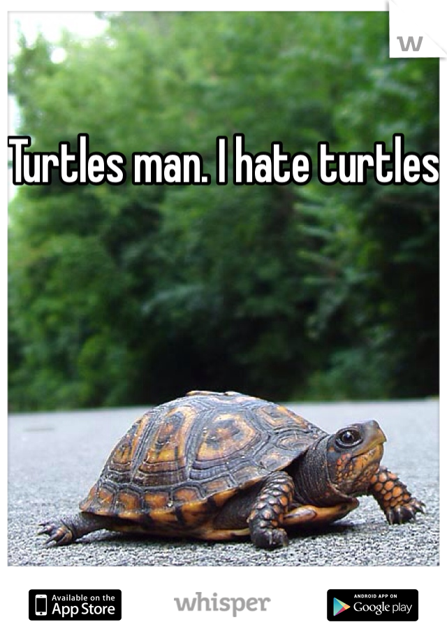 Turtles man. I hate turtles