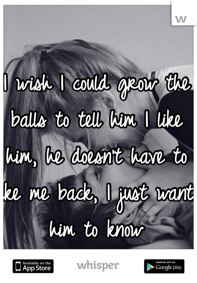 I wish I could grow the balls to tell him I like him, he doesn't have to like me back, I just want him to know 