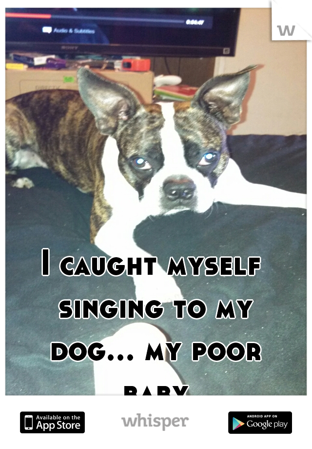 I caught myself singing to my dog... my poor baby