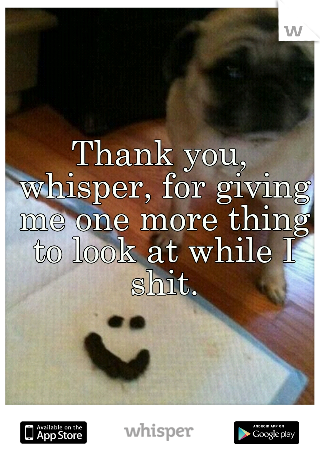 Thank you, whisper, for giving me one more thing to look at while I shit.
