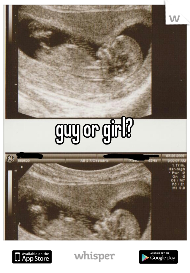guy or girl?