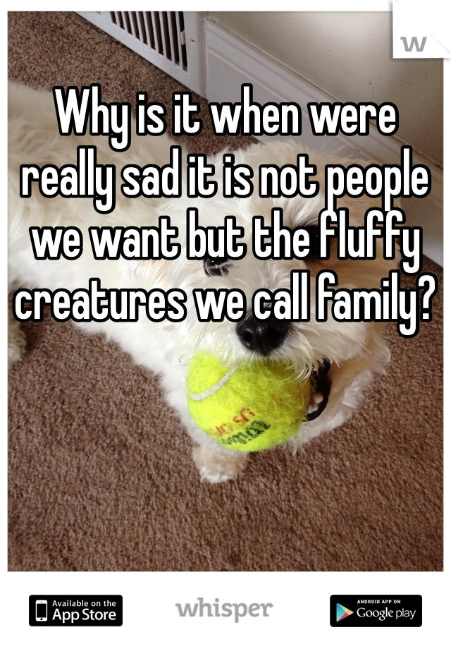 Why is it when were really sad it is not people we want but the fluffy creatures we call family?