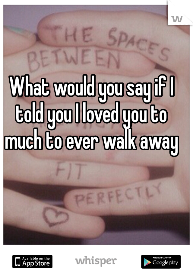 What would you say if I told you I loved you to much to ever walk away 