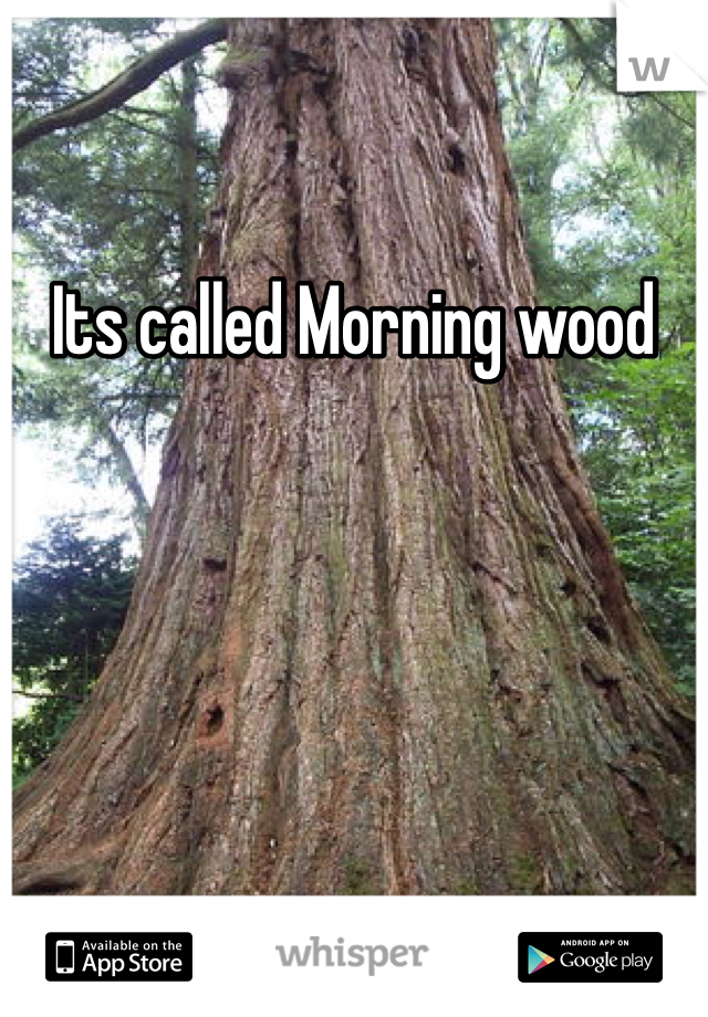Its called Morning wood